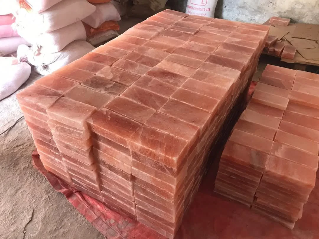 Himalayan Pink Salt Bricks — Bulk Pack