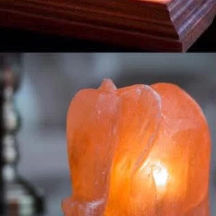 Himalayan Salt Lamp — Elephant