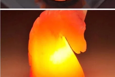 Himalayan Salt Lamp — Horse