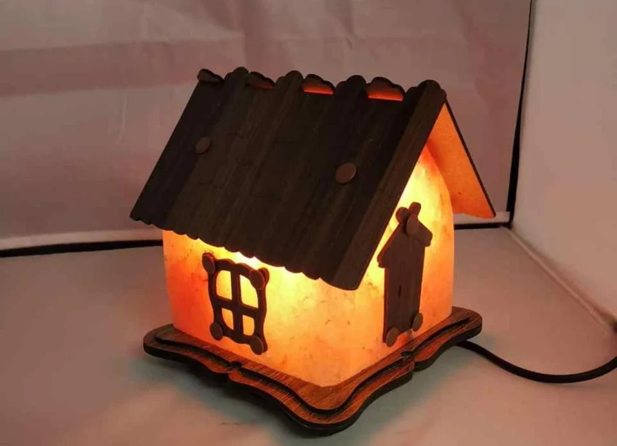 Himalayan Salt Lamp — House