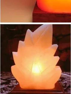 Himalayan Salt Lamp — Leaf