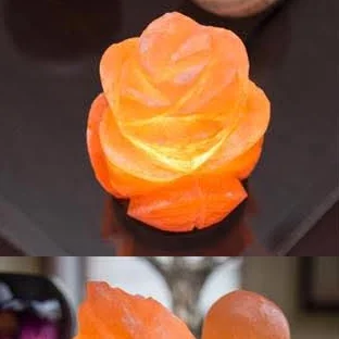 Himalayan Salt Lamp — Rose
