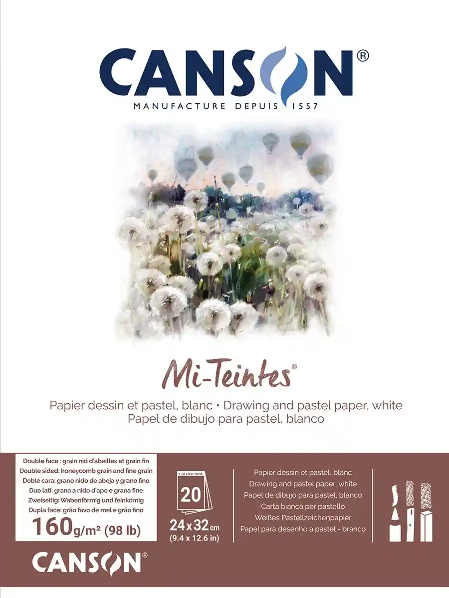 CANSON Mi-Teintes ART Pad 20 Sheets 160 GSM